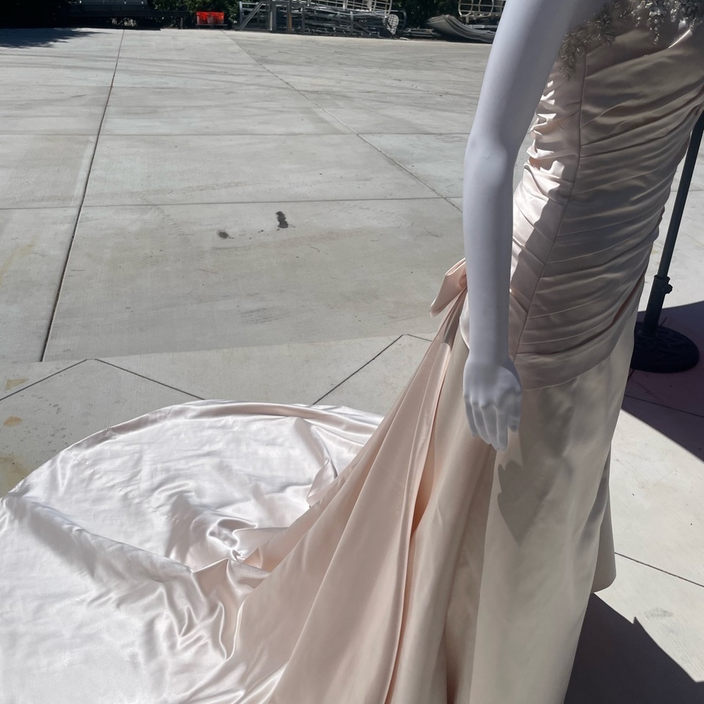 Couture Collection elegant Blush wedding dress - Picture 5 of 15